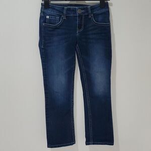 BOOTLEGGER dark wash Dreyfus straight leg jeans